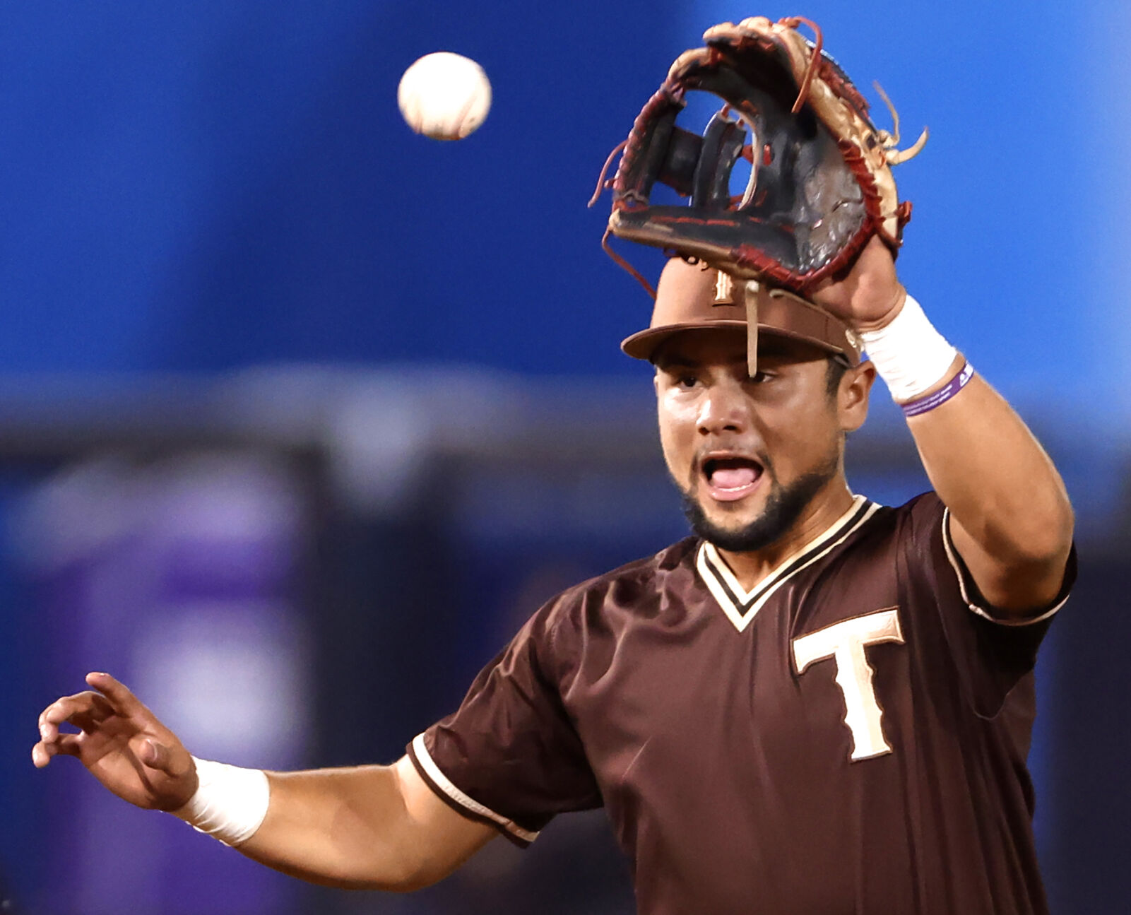 Mexican Baseball Fiesta
